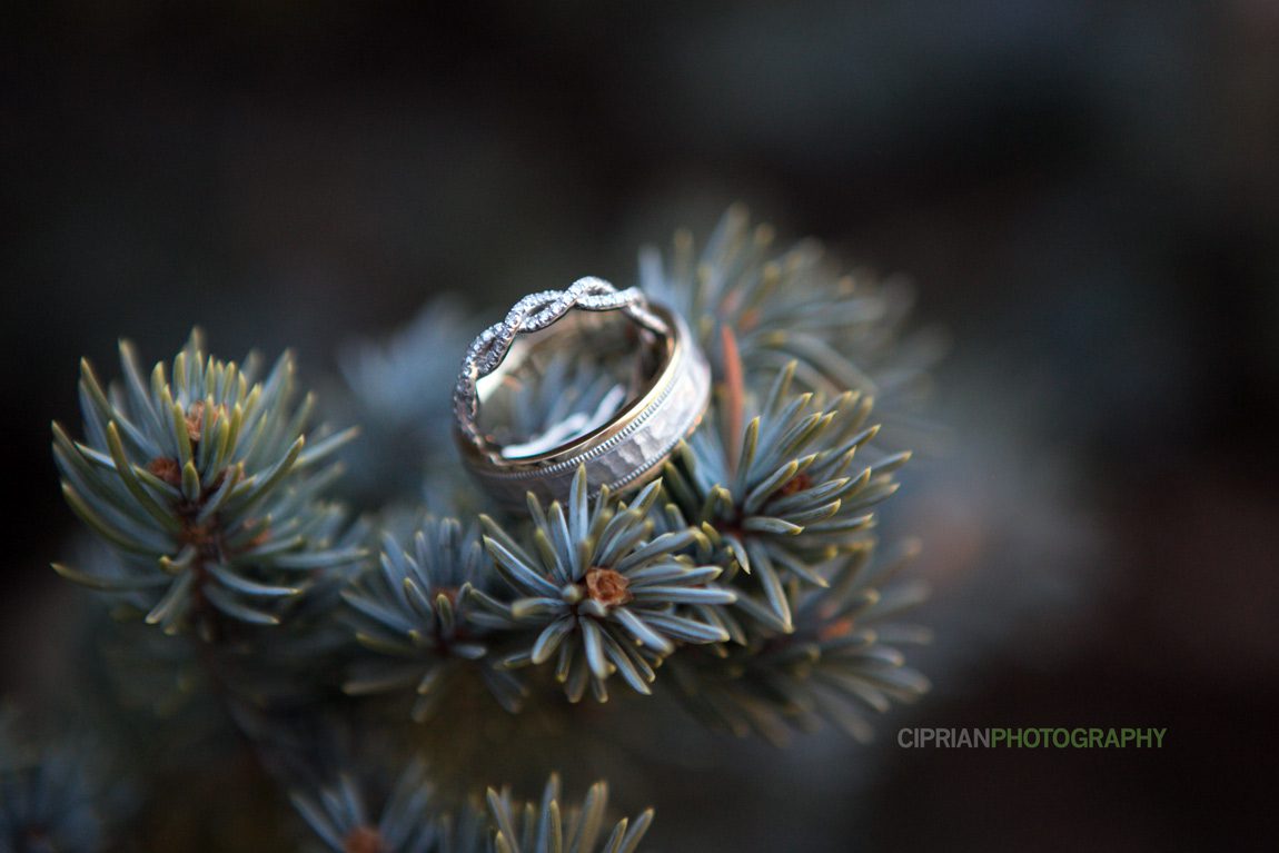 87-wedding-rings-