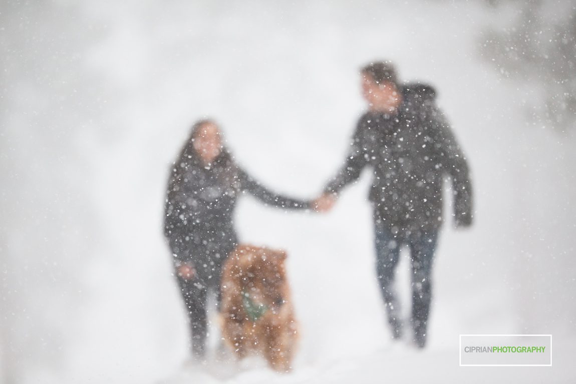 02-Engagement-in-snow-Tahoe