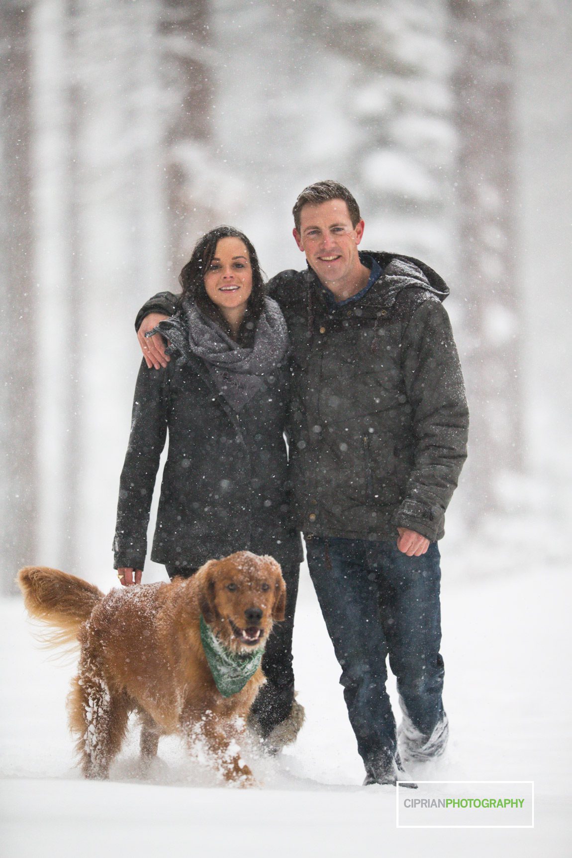11-Engagement-in-Tahoe-snow-picture