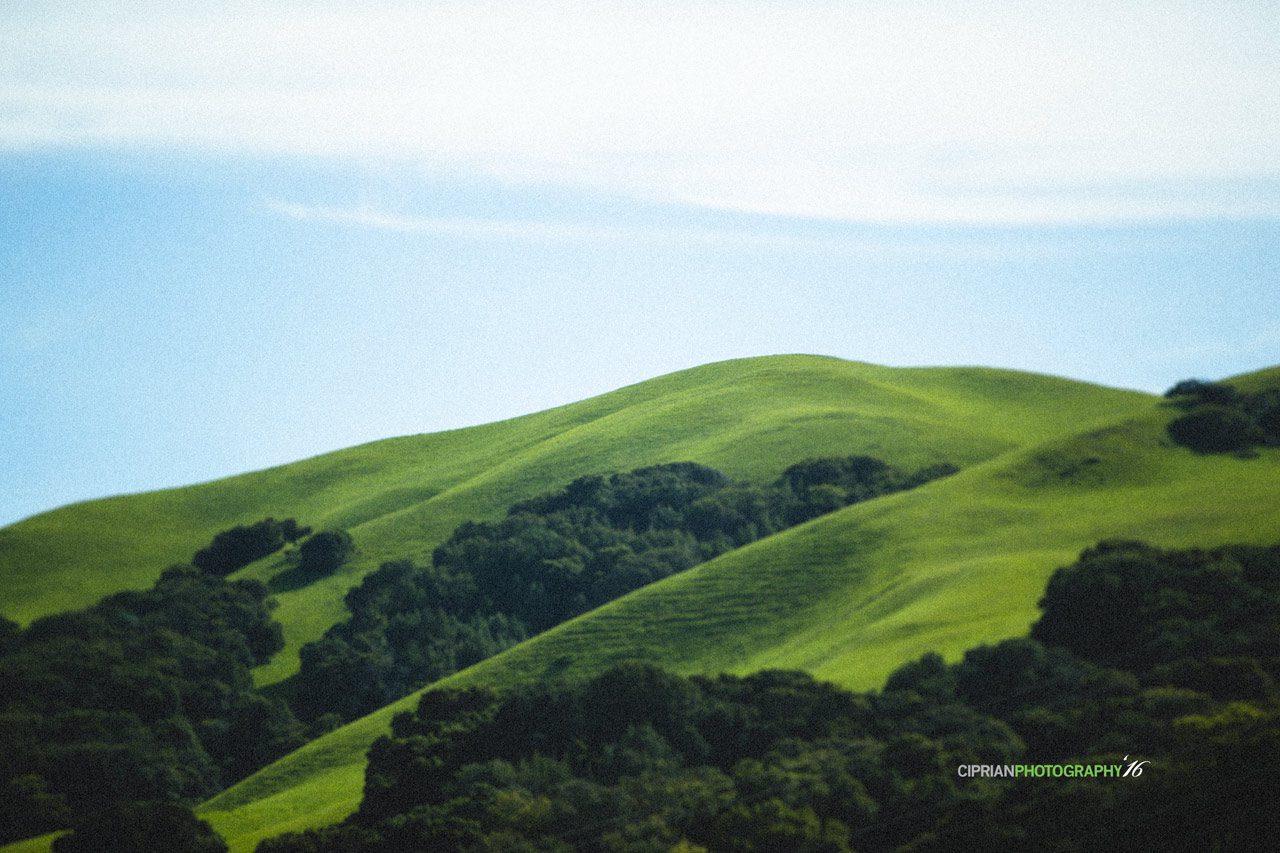 0002-green-hills